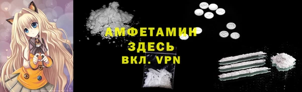 мет Алексин