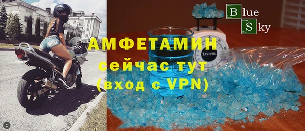 мет Алексин