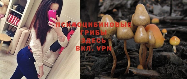 спайс Алексеевка