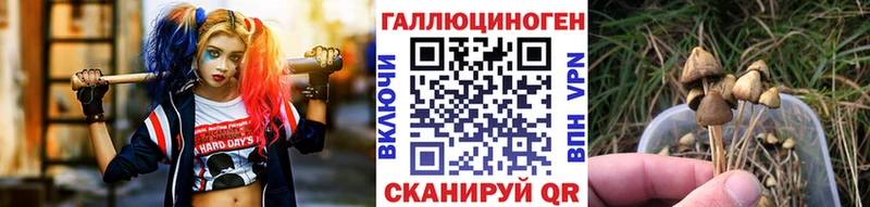Галлюциногенные грибы прущие грибы  мориарти формула  Туймазы 
